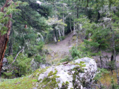 menalon-trail-hiking-πεζοπορια-greece-βαλτεσινικο (4)
