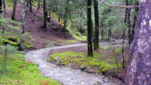 menalon-trail-hiking-πεζοπορια-greece-βαλτεσινικο (3)