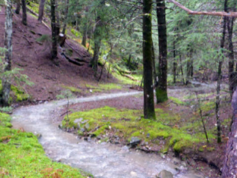 menalon-trail-hiking-πεζοπορια-greece-βαλτεσινικο (3)