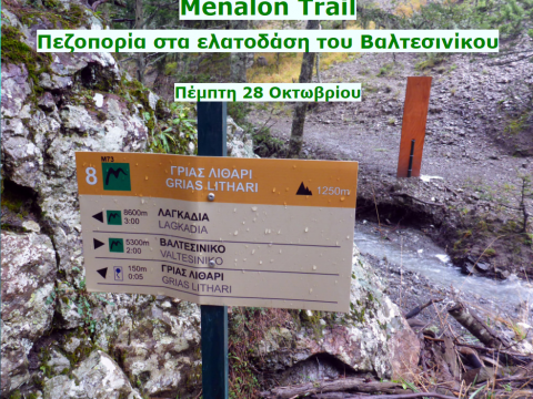 menalon-trail-hiking-πεζοπορια-greece-βαλτεσινικο (2)