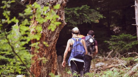 Hiking Parnitha National Park