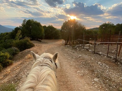 papigo-horser-riding-greece-ιππασια-αλογα-ζαγορια-ηπειρος (6)