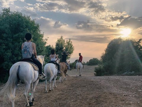 papigo-horser-riding-greece-ιππασια-αλογα-ζαγορια-ηπειρος (1)