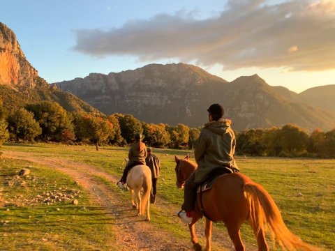 papigo-horser-riding-greece-ιππασια-αλογα-ζαγορια-ηπειρος (5)