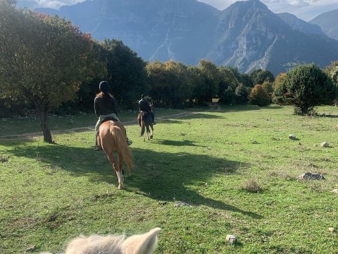 papigo-horser-riding-greece-ιππασια-αλογα-ζαγορια-ηπειρος (4)