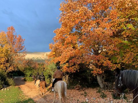 papigo-horser-riding-greece-ιππασια-αλογα-ζαγορια-ηπειρος (2)