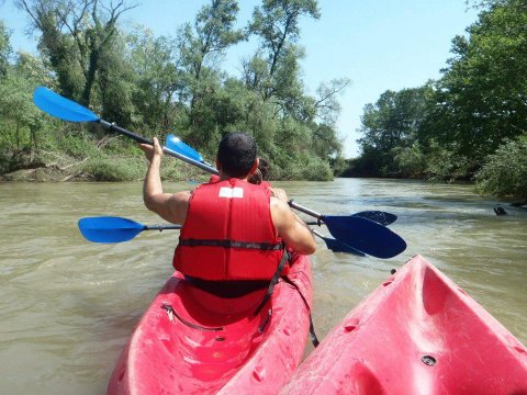 canoe-delta-pineios-bird-watching-toxovolia-kayak-archery-greece (3)