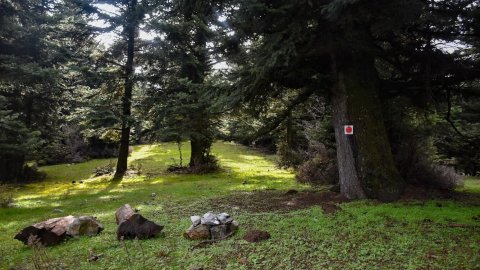 παζοπορια-ζηρεια-φλαμπουριτσα-hiking-ziria-flampouritsa-greece (1)