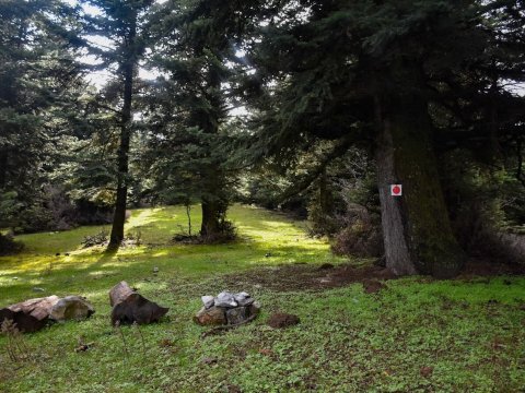 παζοπορια-ζηρεια-φλαμπουριτσα-hiking-ziria-flampouritsa-greece (1)