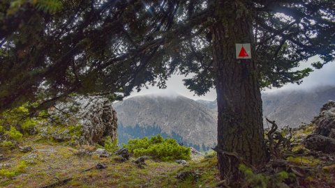 παζοπορια-ζηρεια-φλαμπουριτσα-hiking-ziria-flampouritsa-greece (12)