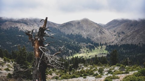 παζοπορια-ζηρεια-φλαμπουριτσα-hiking-ziria-flampouritsa-greece (11)