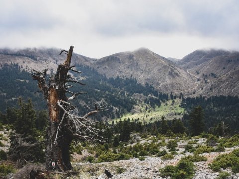 παζοπορια-ζηρεια-φλαμπουριτσα-hiking-ziria-flampouritsa-greece (11)