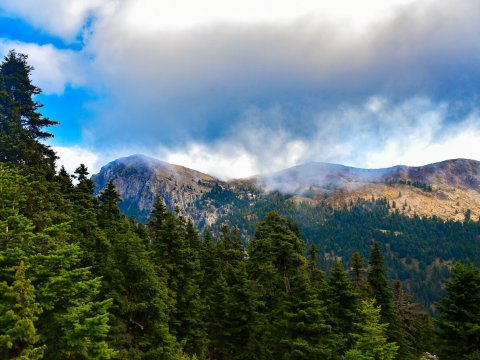 παζοπορια-ζηρεια-φλαμπουριτσα-hiking-ziria-flampouritsa-greece (9)