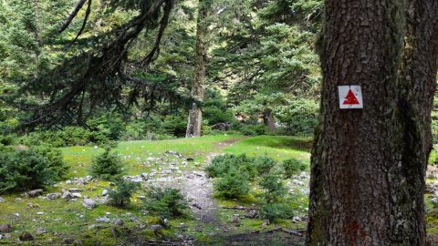 παζοπορια-ζηρεια-φλαμπουριτσα-hiking-ziria-flampouritsa-greece (8)