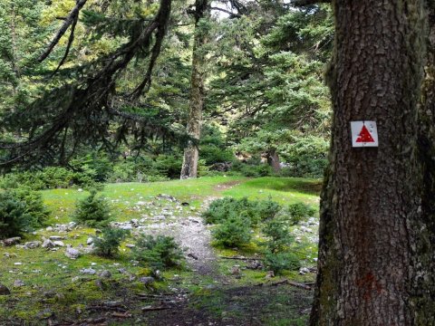 παζοπορια-ζηρεια-φλαμπουριτσα-hiking-ziria-flampouritsa-greece (8)