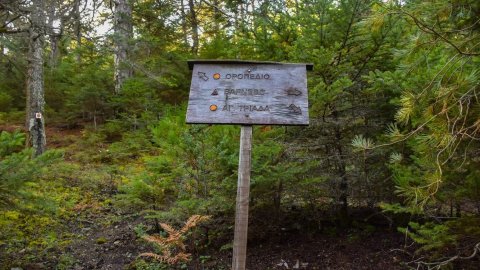 παζοπορια-ζηρεια-φλαμπουριτσα-hiking-ziria-flampouritsa-greece (4)