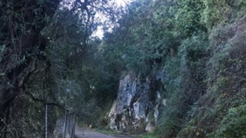 jeep-safari-corfu-greece-2