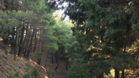 kos-jeep-safari-greece-off-road