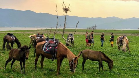 Ηorse riding Kerkini lake