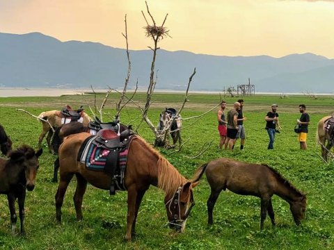 horse-rding-kerkini-lake-greece-ιππασια-αλογα-κερκινη-λιμνη (5)