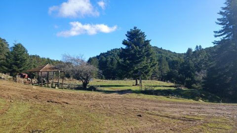 hiking-zria-lake-dasiou-πεζοποροια-λιμνη-δασιου-ζηρεια-greece (5)