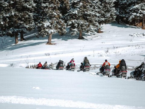 Snowmobile Περτούλι