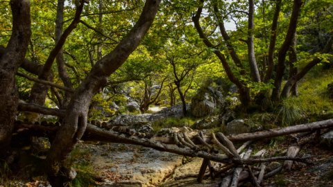 hiking-mainalo-elati-vytina-greece-πεζοπορια-μαιναλο-ελατη-βυτινα (8)