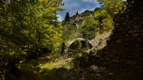 hiking-mainalo-elati-vytina-greece-πεζοπορια-μαιναλο-ελατη-βυτινα (7)