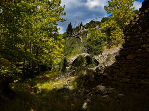 hiking-mainalo-elati-vytina-greece-πεζοπορια-μαιναλο-ελατη-βυτινα (7)