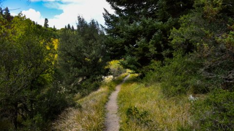 hiking-mainalo-elati-vytina-greece-πεζοπορια-μαιναλο-ελατη-βυτινα (6)