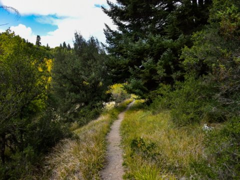 hiking-mainalo-elati-vytina-greece-πεζοπορια-μαιναλο-ελατη-βυτινα (6)