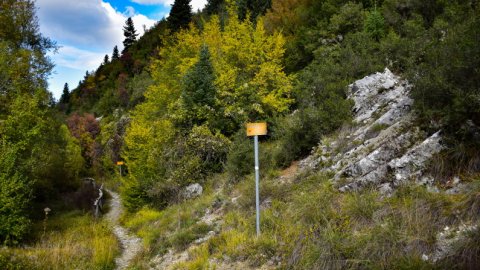 hiking-mainalo-elati-vytina-greece-πεζοπορια-μαιναλο-ελατη-βυτινα (5)