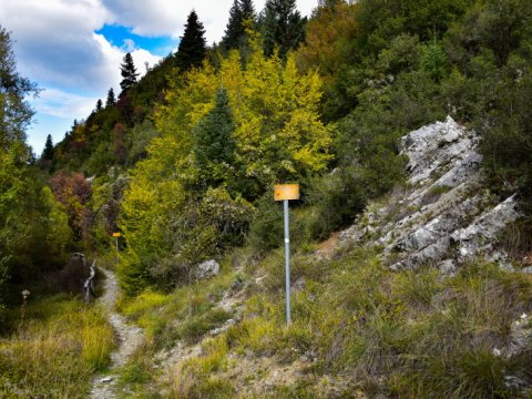 hiking-mainalo-elati-vytina-greece-πεζοπορια-μαιναλο-ελατη-βυτινα (5)