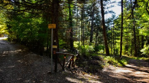 hiking-mainalo-elati-vytina-greece-πεζοπορια-μαιναλο-ελατη-βυτινα (3)