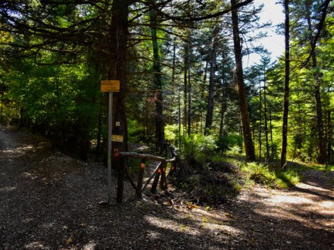 hiking-mainalo-elati-vytina-greece-πεζοπορια-μαιναλο-ελατη-βυτινα (3)