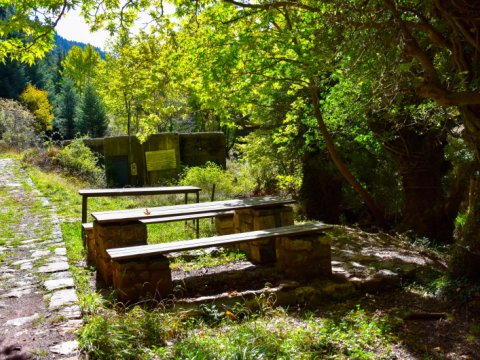 hiking-mainalo-elati-vytina-greece-πεζοπορια-μαιναλο-ελατη-βυτινα (2)