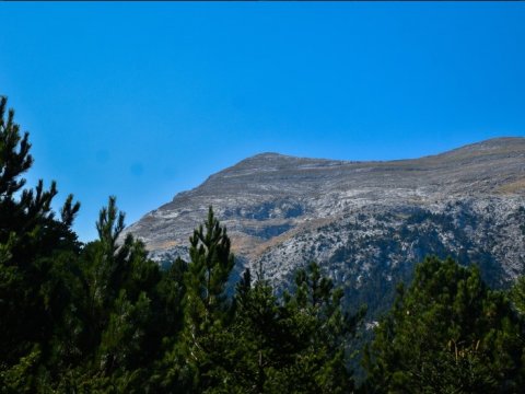 Taygetus-hiking-laconia-sparta-peloponnese-greece-πεζοπορια (2)