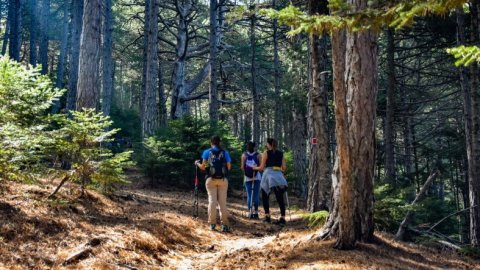 Taygetus-hiking-laconia-sparta-peloponnese-greece-πεζοπορια (1)