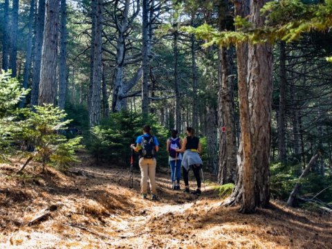 Taygetus-hiking-laconia-sparta-peloponnese-greece-πεζοπορια (1)