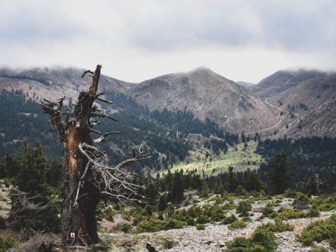 ziria-hiking-camping-dasiou-lake-λιμνη-greece (4)