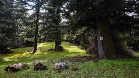 ziria-hiking-camping-dasiou-lake-λιμνη-greece (1)