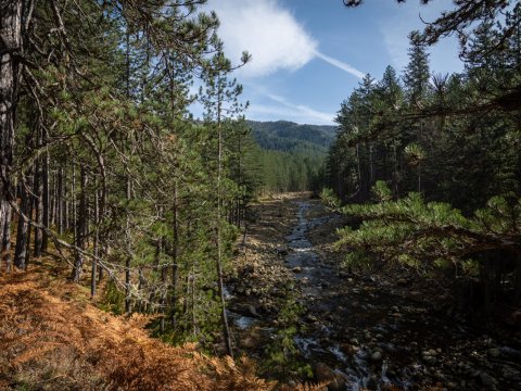 valia-caldta-off-road-trips-epirus-pindus-metsovo-greece (6)