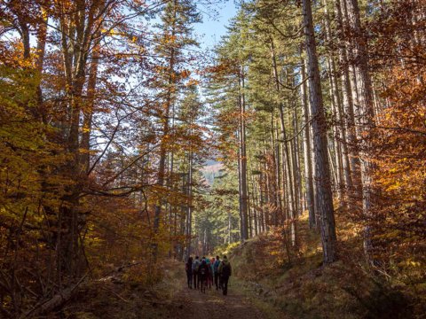 valia-caldta-off-road-trips-epirus-pindus-metsovo-greece (1)