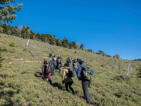 πεζοπορια-παρνωνας-hiking-parnonas-peloponnese-greece (4)