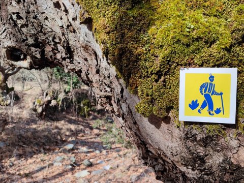 πεζοπορια-παρνωνας-hiking-parnonas-peloponnese-greece (1)