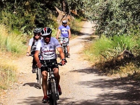 cycle-tour-delphi-bicycle-bike-greece (3)