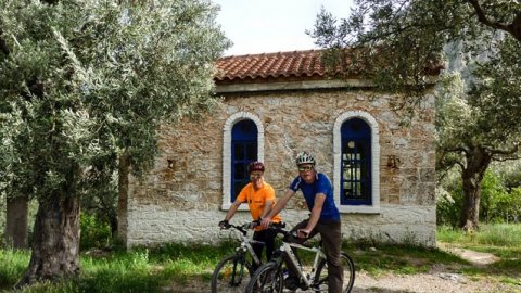 Ποδηλατική περιήγηση Αρχαίος Ελαιώνας Δελφών