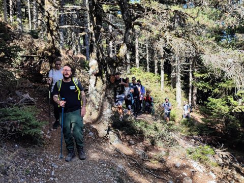 hiking-parnitha-athens-attica-greece-πεζοπορια