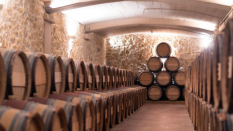 marathon-athens-winery-tasting-greece-tour (3)