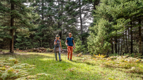 Hiking Parnassos National Park